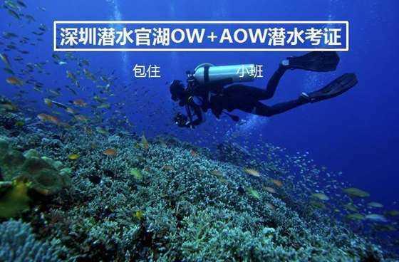 蓝狐视频